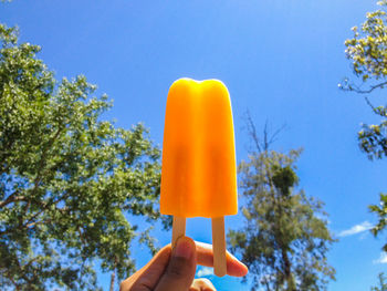 Low angle view of person holding popsicle against trees and sky