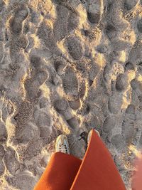 Low section of person standing on beach