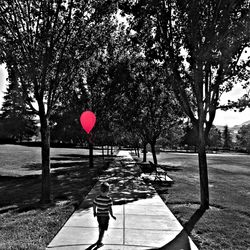 Full length of woman standing on footpath in park