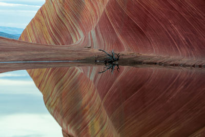 Close-up of insect on hand against the sky