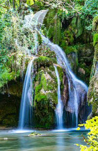 Scenic view of waterfall in forest