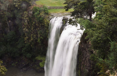 Scenic view of waterfall in forest