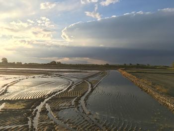 Panoramic view of agricultural field against sky