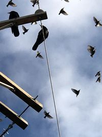 Low angle view of birds flying against sky