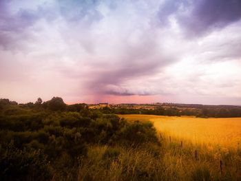 Scenic view of field against sky during sunset