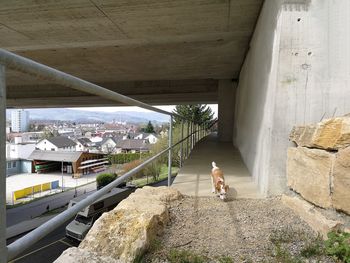 Woman sitting on bridge