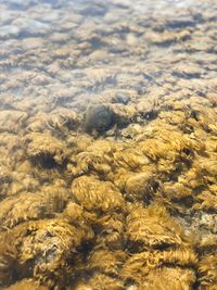 High angle view of a sea