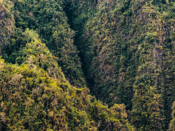 Green mountains landscape with ravine texture from the cañon san cristobal in puerto rico.