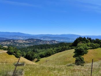 Scenic view of landscape against clear sky