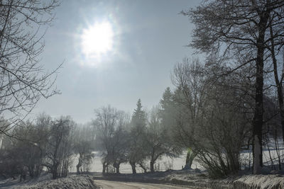 Trees on snow covered landscape against sky