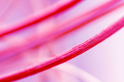 Full frame shot of pink fabric