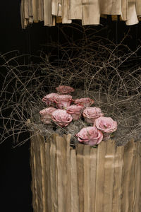 Close-up of pink rose on wooden fence
