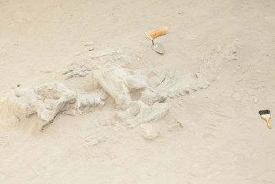 High angle view of bird flying over beach