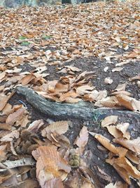 Full frame shot of water at beach