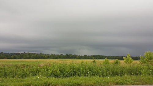 Scenic view of field against sky