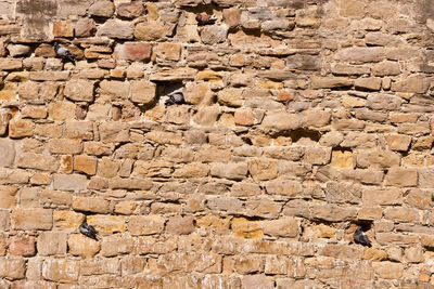 Full frame shot of stone wall