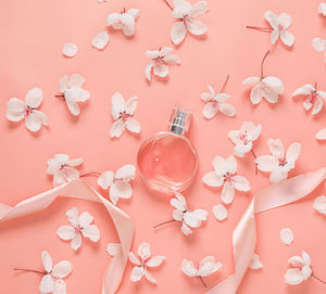 High angle view of pink flowers