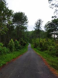 Road amidst trees in forest against sky