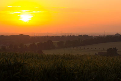 Scenic view of field against sky during sunset