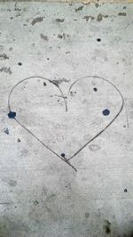 High angle view of leaf