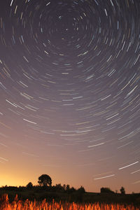 Scenic view of field against star field at night