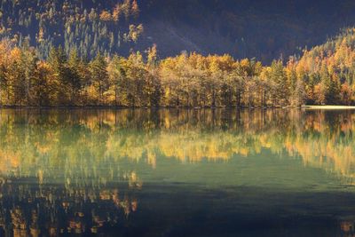 Scenic view of lake in forest during autumn