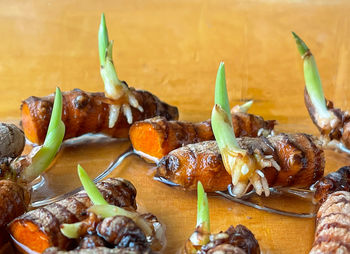 Close-up of seafood on table