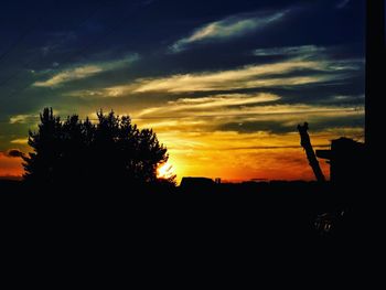 Silhouette trees against sky during sunset