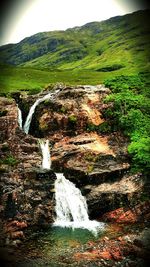 Scenic view of river flowing through forest