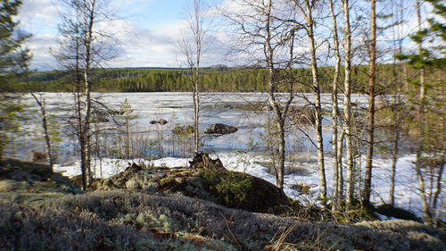 Scenic view of field against sky during winter