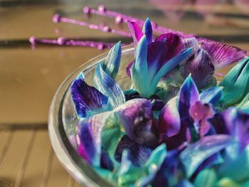 Close-up of purple flowering plant