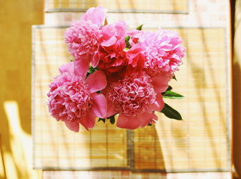 Close-up of pink roses in vase