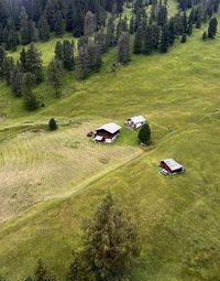 People walking on field