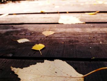 Close-up of dry leaves on wooden table