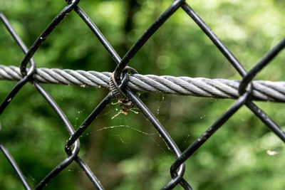 Close-up of chainlink fence