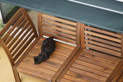 High angle view of black cat on chair