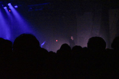 People enjoying concert at night