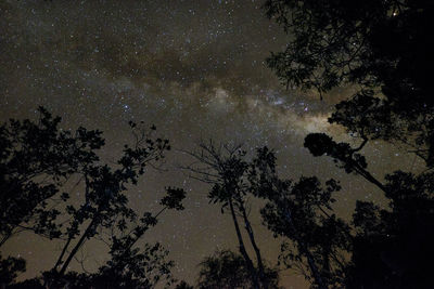 Low angle view of star field against star field