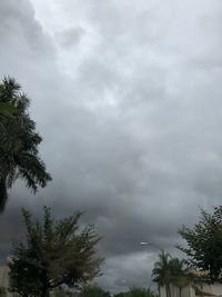 Low angle view of tree against cloudy sky