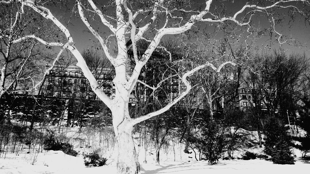 Morningside Playground