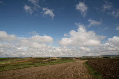 Scenic view of agricultural field against sky