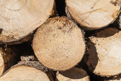 Full frame shot of logs in forest