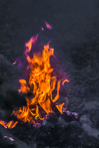 Close-up of bonfire on field at night