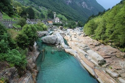 High angle view of river amidst trees in forest