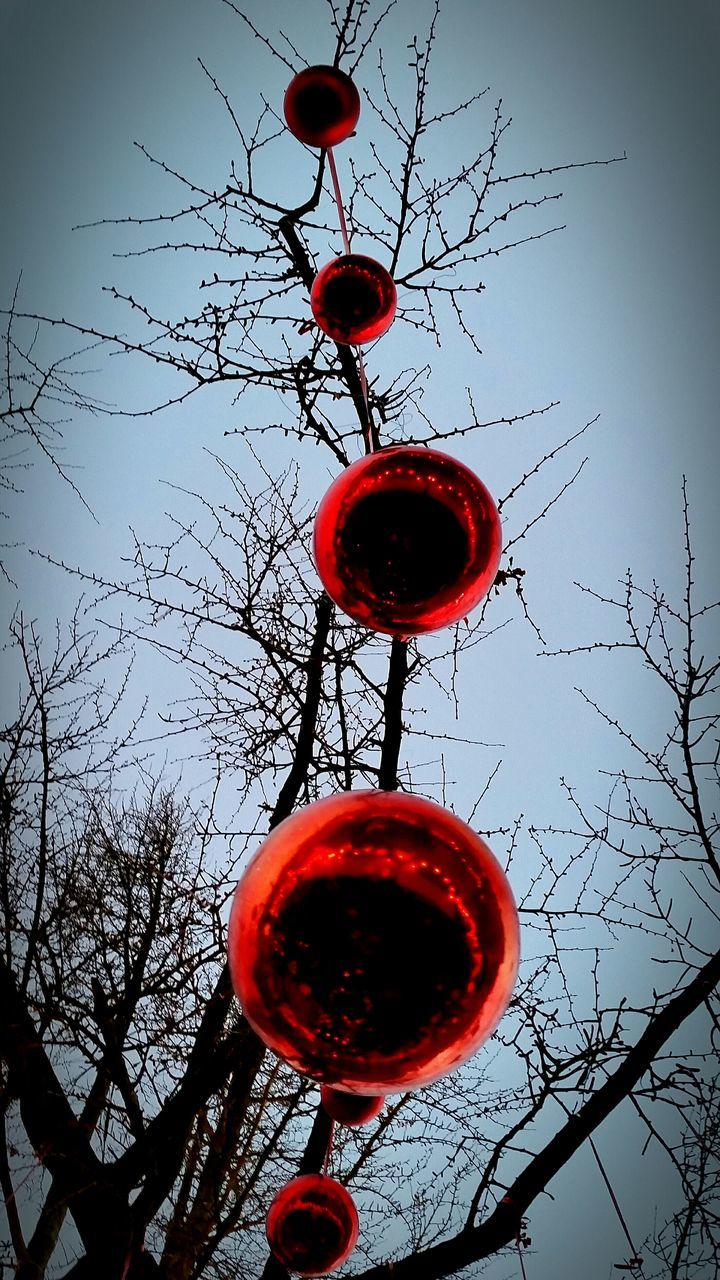 red, low angle view, hanging, lighting equipment, lantern, decoration, sky, tree, branch, balloon, electricity, illuminated, street light, electric light, no people, close-up, outdoors, tradition, chinese lantern, celebration