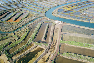 High angle view of agricultural field