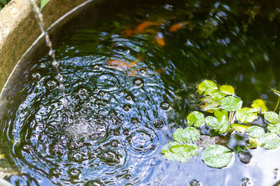 High angle view of water