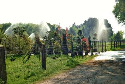 Panoramic shot of trees on field against sky