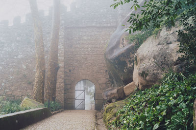 Bridge amidst trees and plants against wall