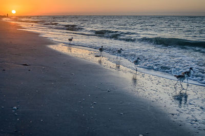 Scenic view of beach against sky during sunset